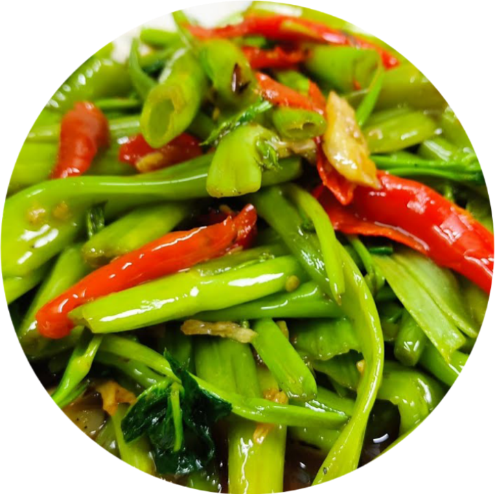 ត្រកួនប្រេងខ្យង