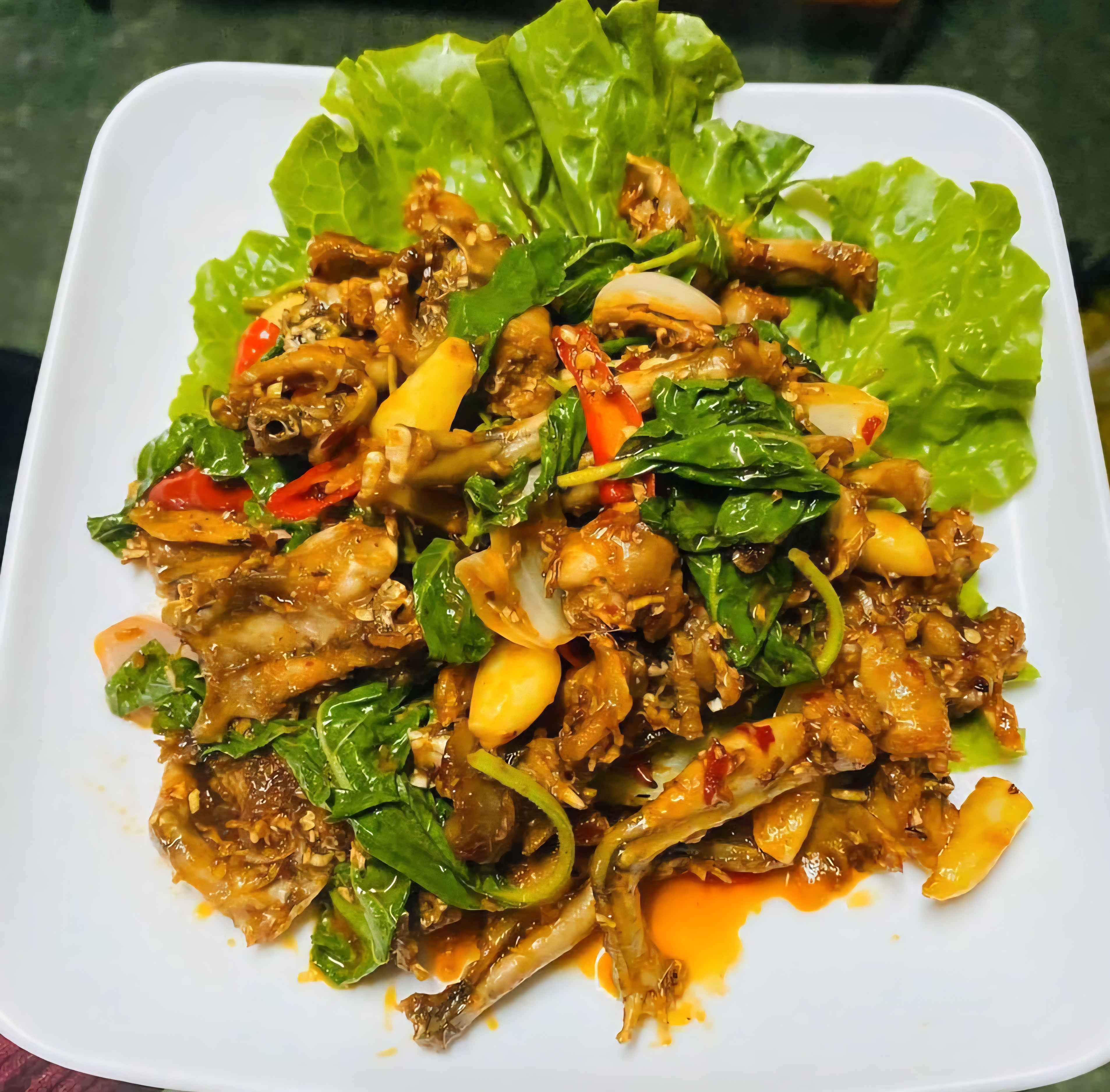 កង្កែបឆាក្ដៅ